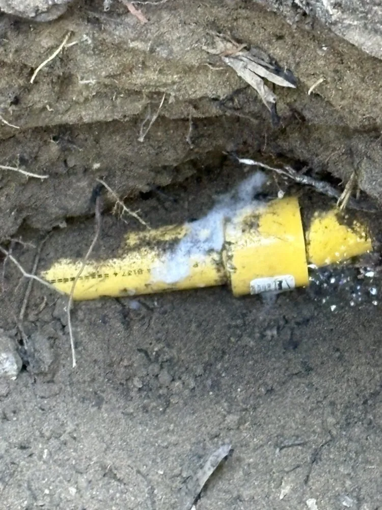 Slide of Alpha Services