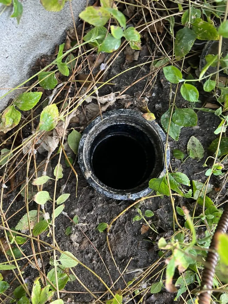 Slide of Alpha Star Plumbing