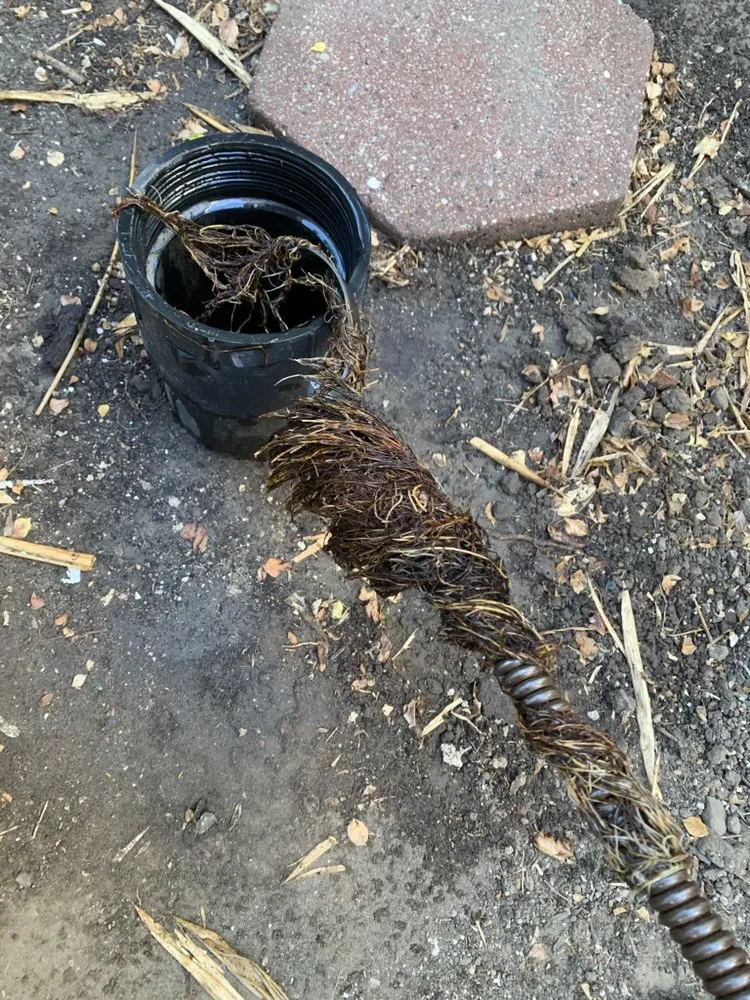 Slide of Alphaa Rooter and Plumbing