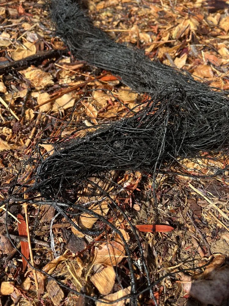 Slide of Al's Plumbing Service