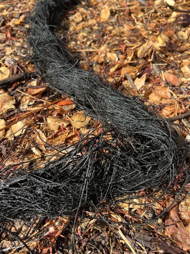 Slide of Al's Plumbing Service