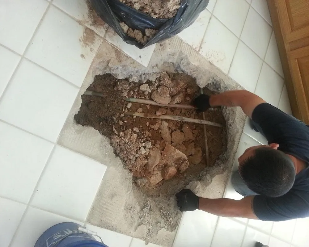 Slide of Altadena Plumbing Champion