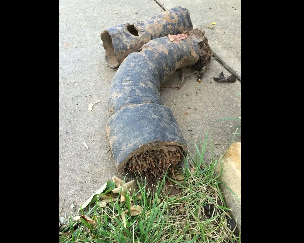 Slide of Altadena Plumbing Champion