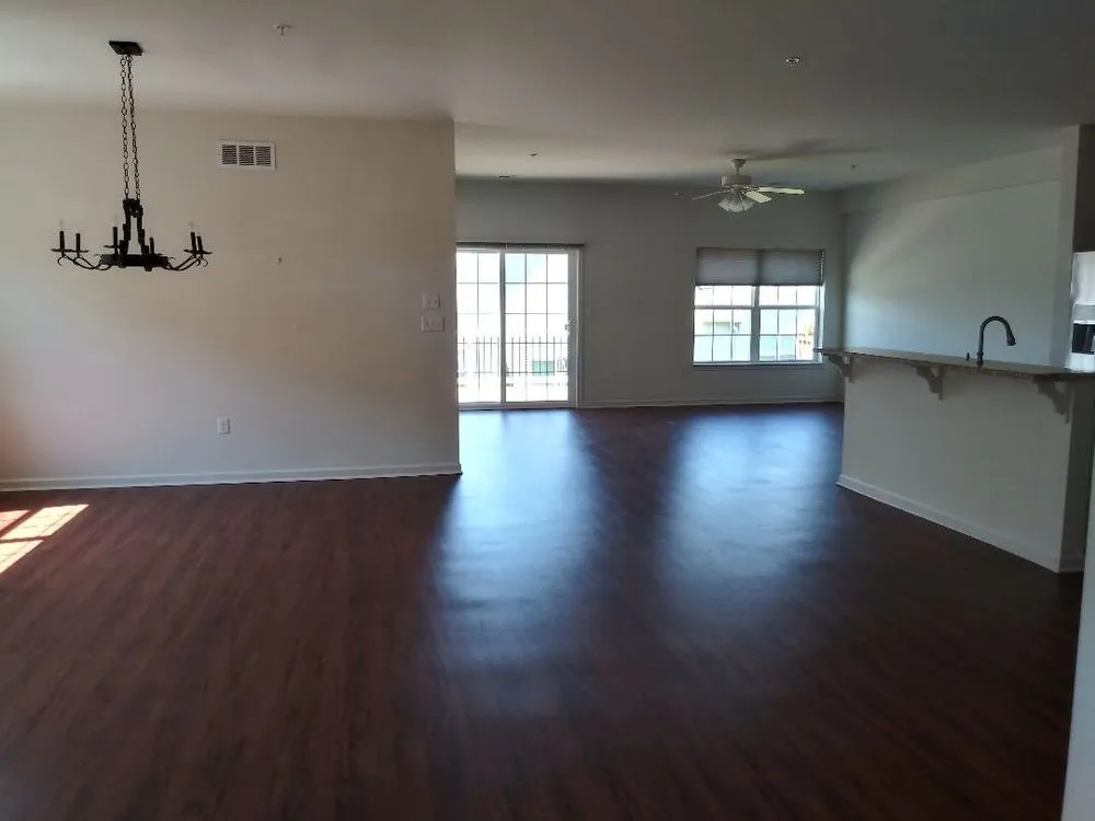 Slide of Altreche’s Painting