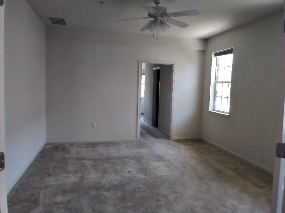 Slide of Altreche’s Painting