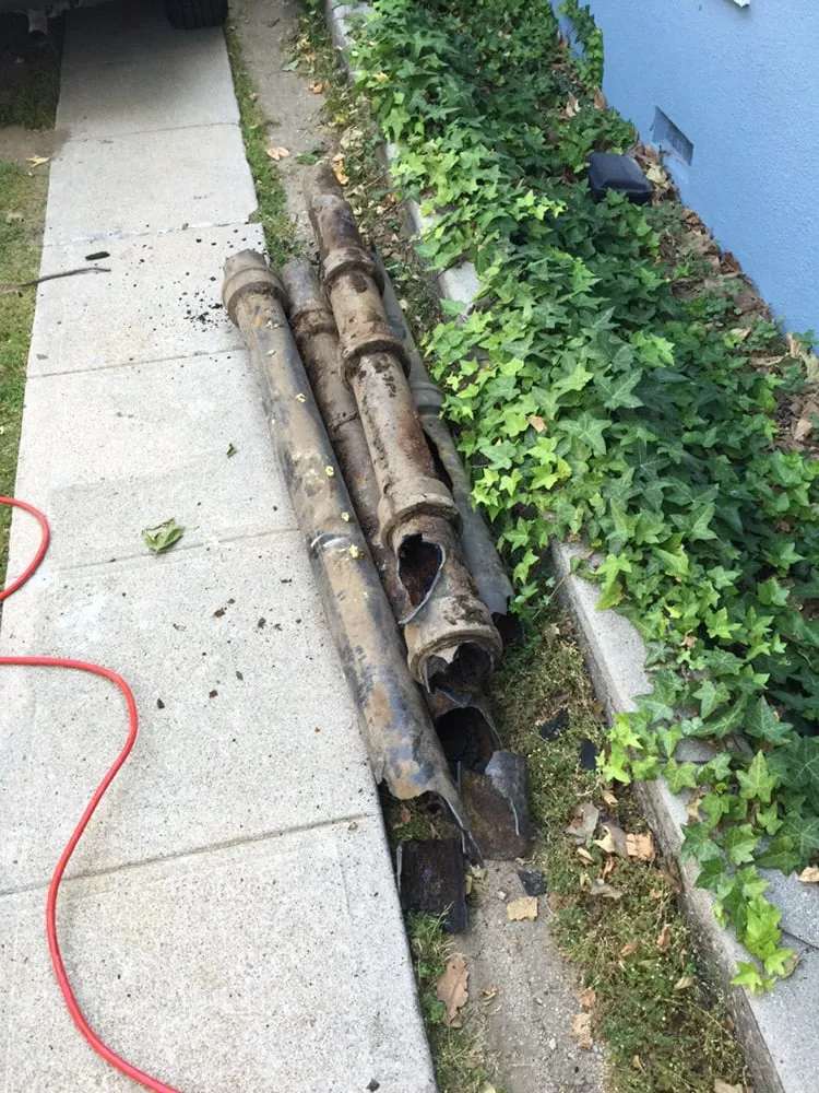 Slide of Alvarado Concepts