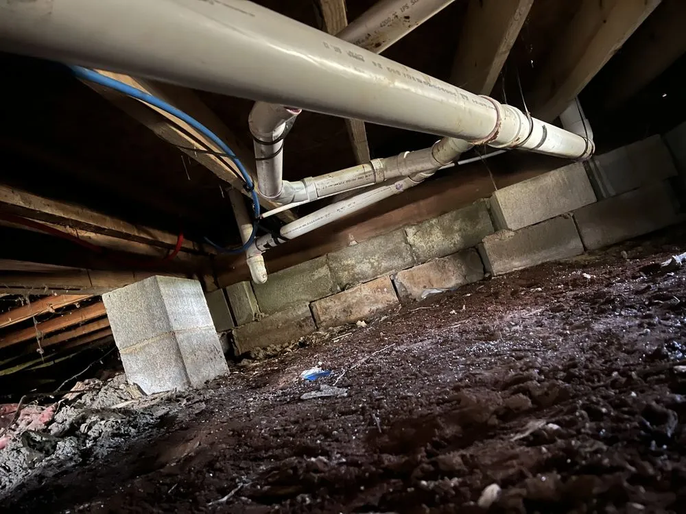 Slide of Alvarado Plumbing