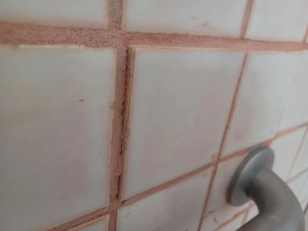 Slide of Alvco Plumbing