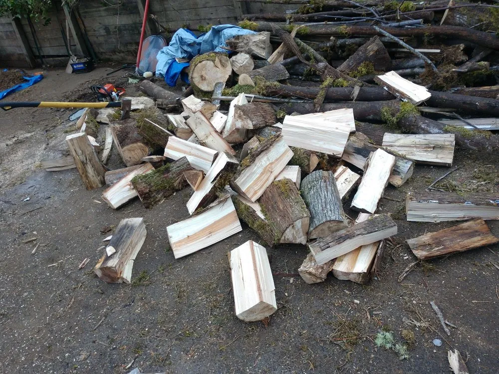 Slide of Always Better Services