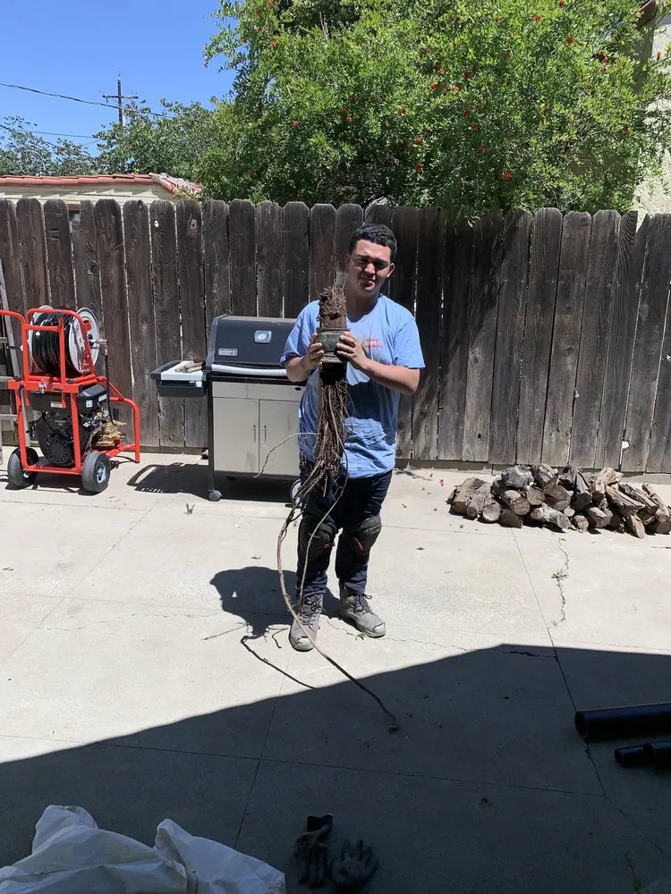 Expert drain cleaning experts serving Los Banos, CA - Always Rescue Plumbing