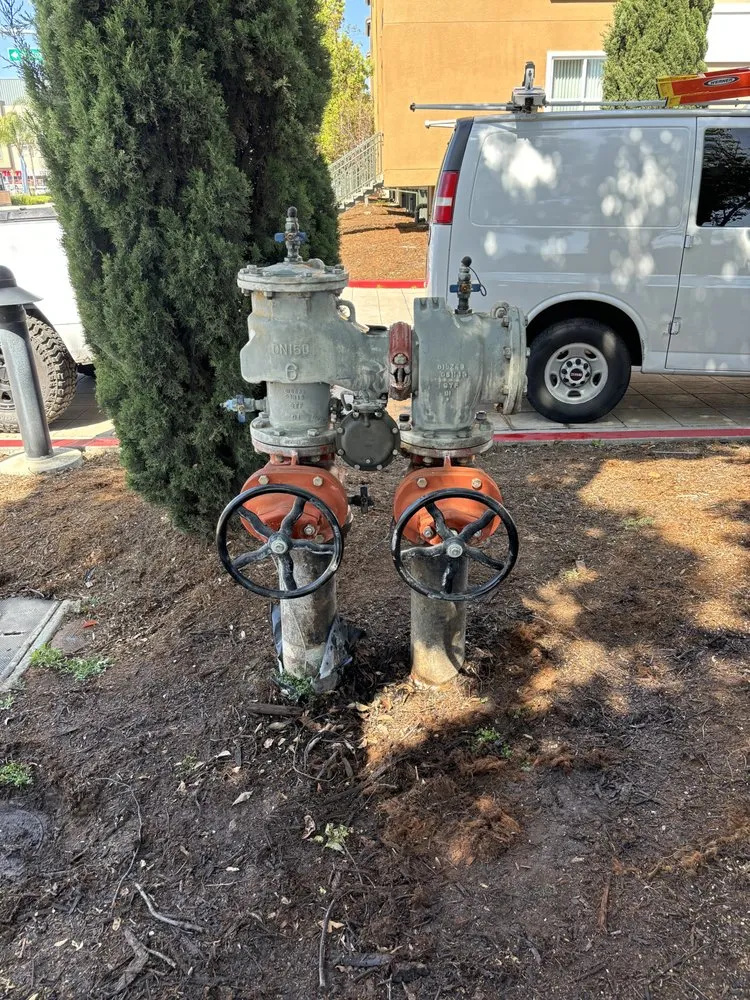 Slide of AM Backflow