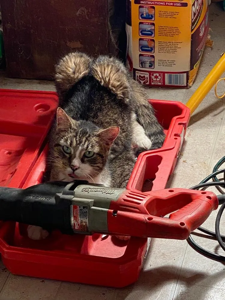 Reliable drain cleaning for homes in Wilmington, IL by AM-PM Heating & AIR Conditioning