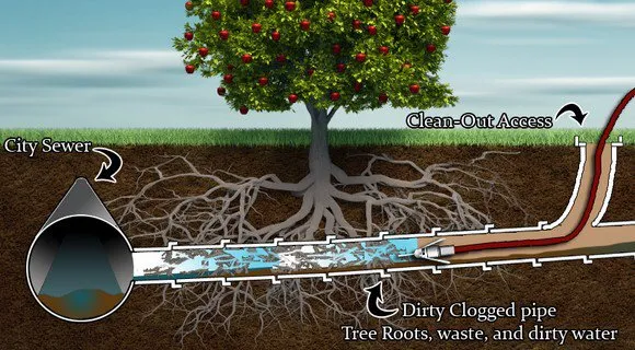 AM PM Plumbing Heating & Air Conditioning Logo