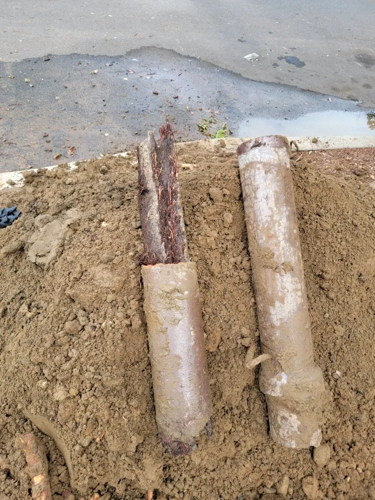 Slide of AM Royalty Plumbing