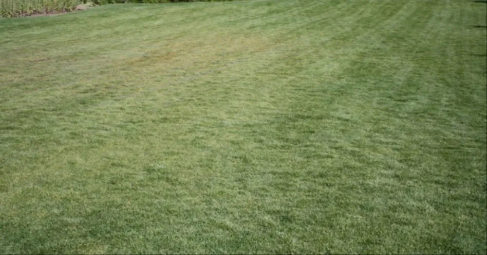 Slide of amazing lawn care and home improvement