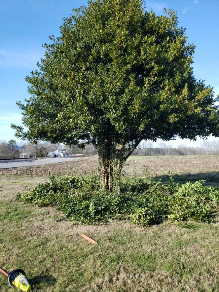 Slide of amazing lawn care and home improvement