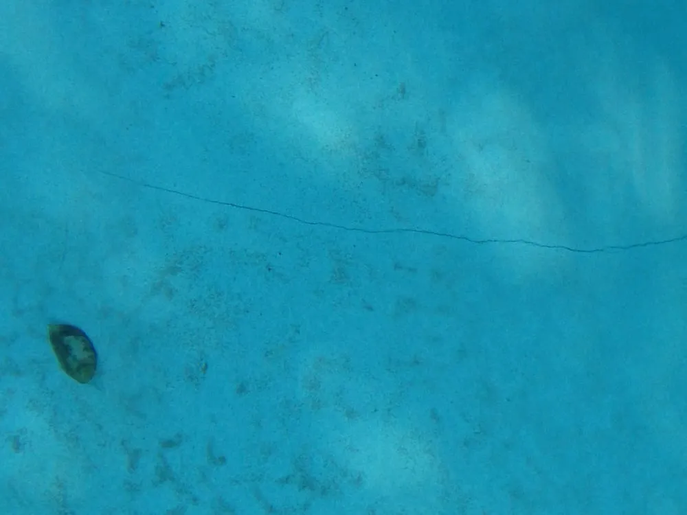 Slide of Amazing Leak Detection