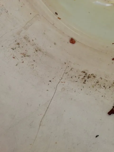 Slide of Amazing Leak Detection