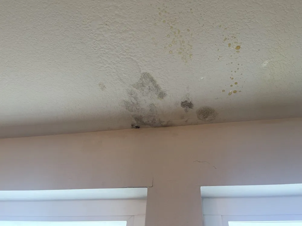 Affordable leak detection in Cypress, CA by Amazing Plumbing