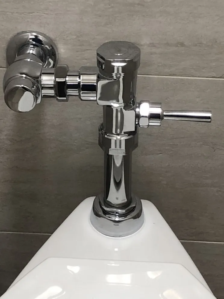 Slide of Amazing Rooter