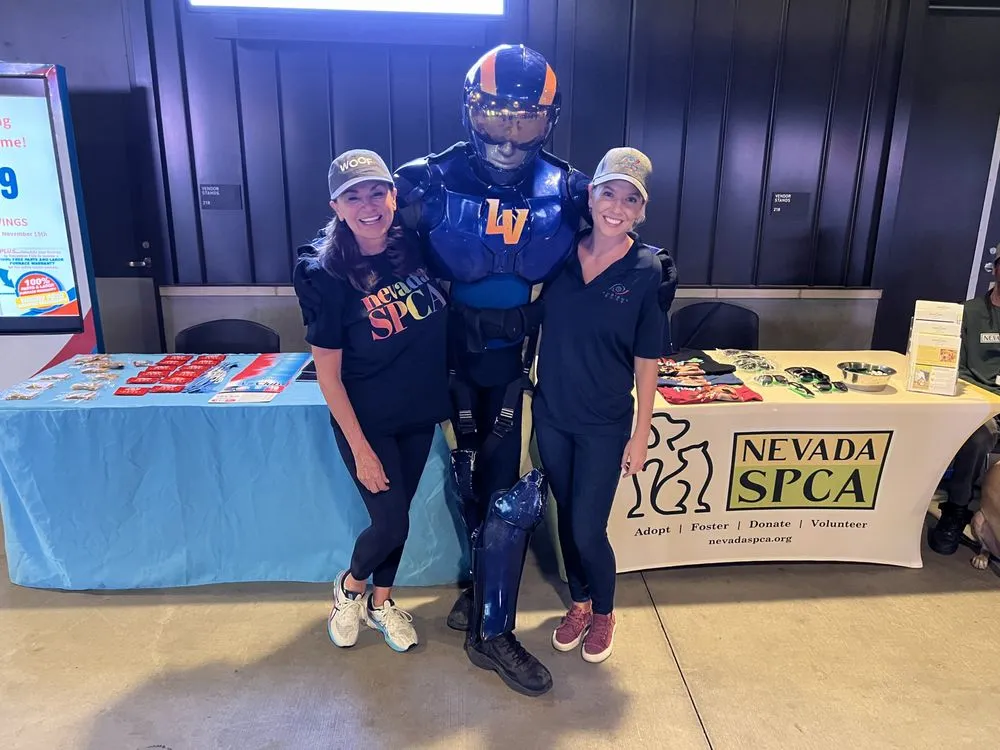 Slide of Ambient Edge