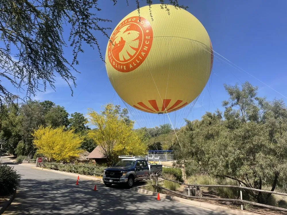 Slide of American Ally Drains & Plumbing