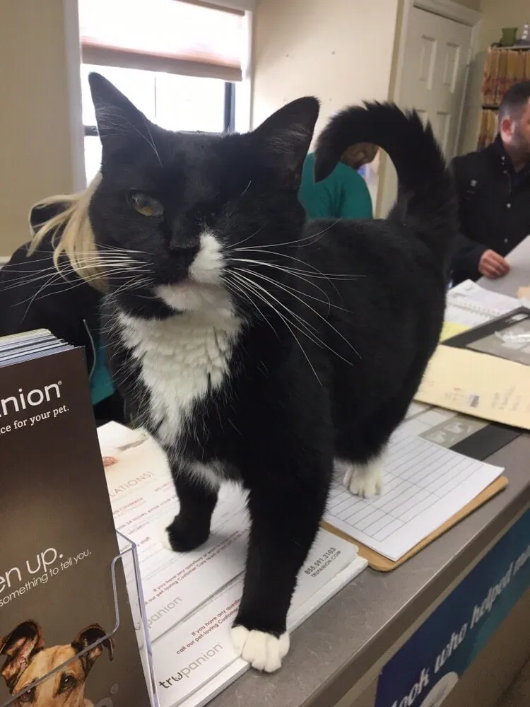 Slide of American Backflow Testers