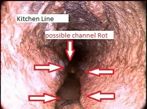 Slide of American Drain