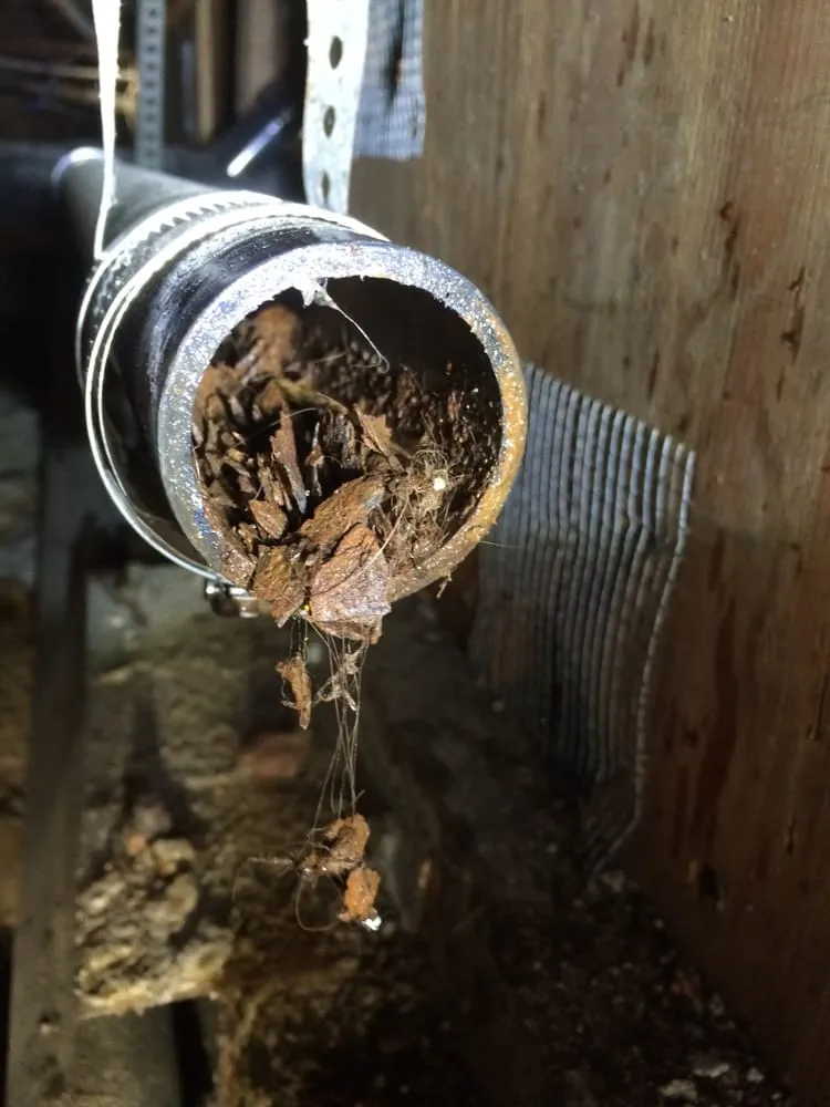 Trusted pipe repair experts serving Los Angeles, CA - American Drain Works & Plumbing Company