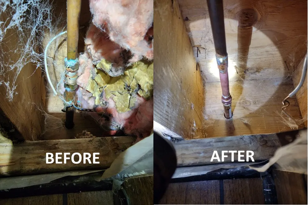 Slide of American Falls Handyman