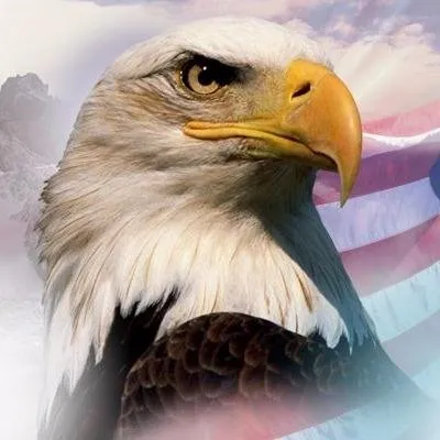 Slide of American Freedom Plumbing