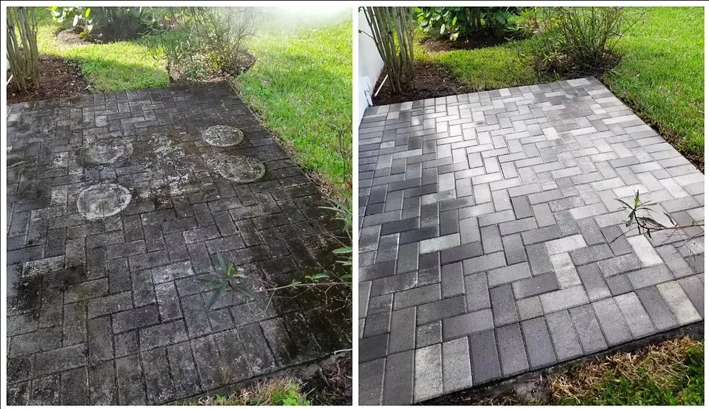 Slide of American Home Professionals