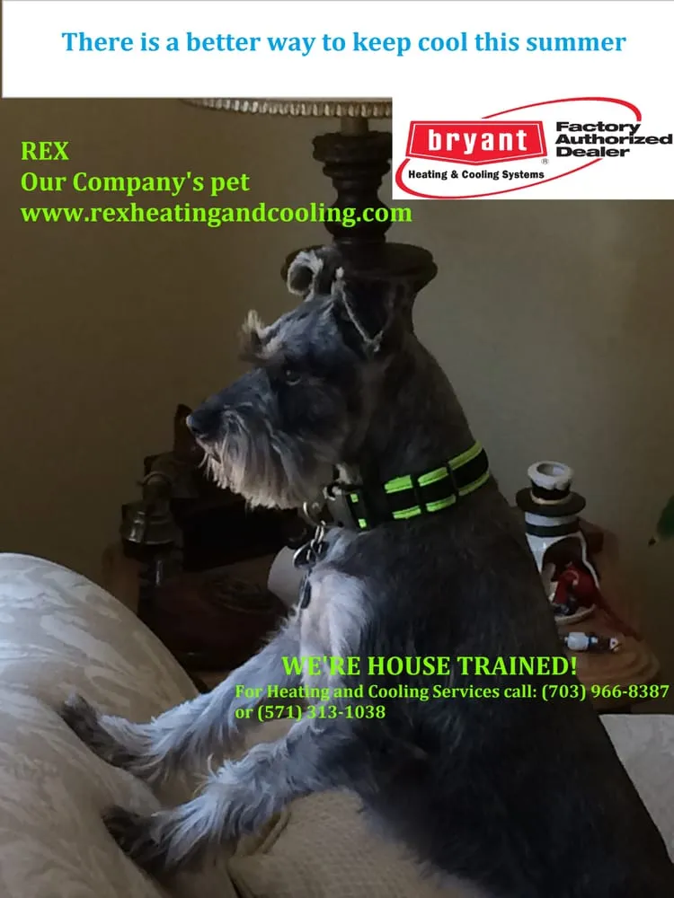 Quality drain cleaning service in Sterling, VA - American House Heating & Cooling