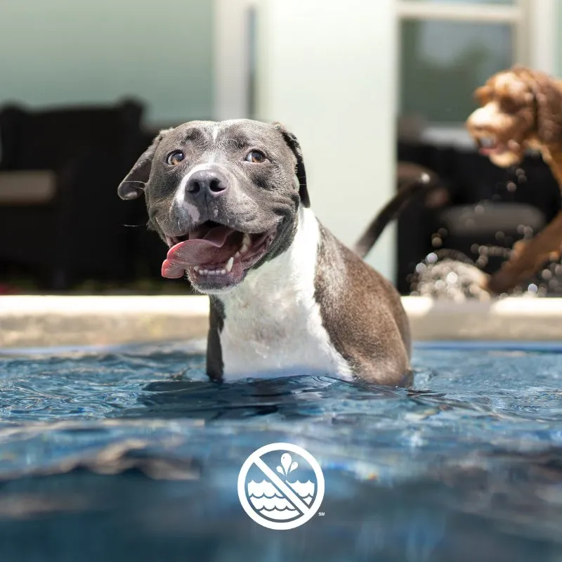 Slide of American Leak Detection - Gulf Coast