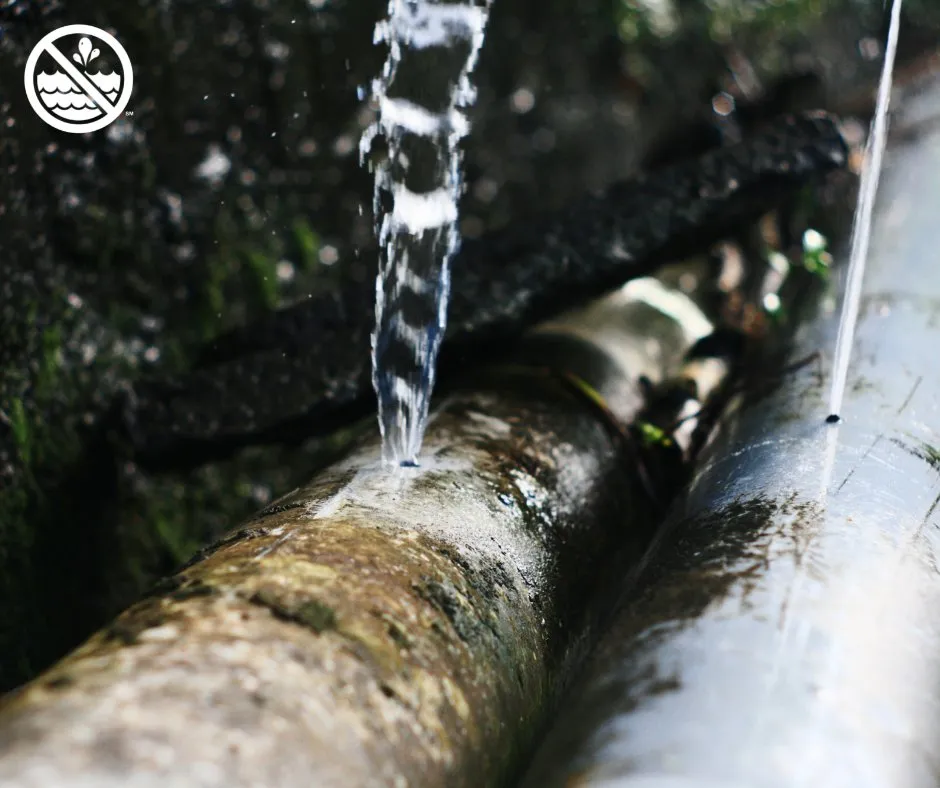 Slide of American Leak Detection - Nashville