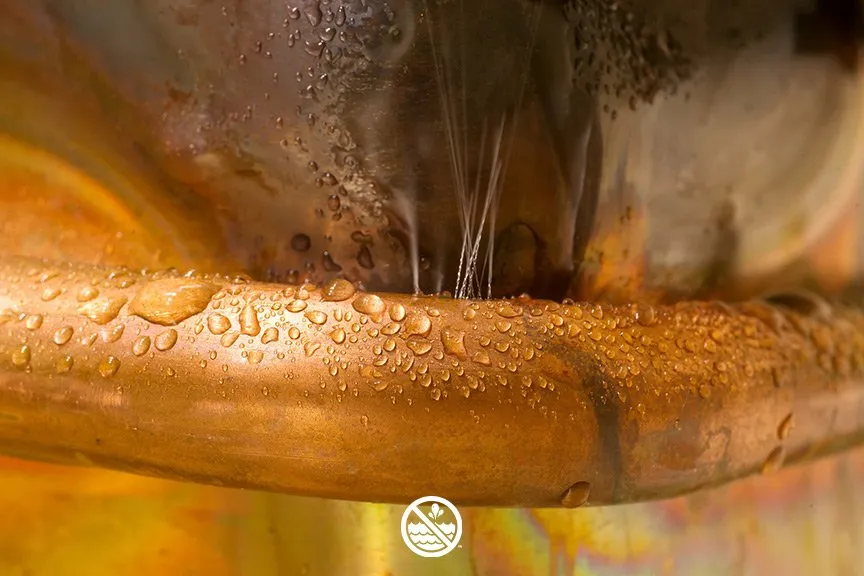 Trusted leak detection experts serving Nashville, TN - American Leak Detection - Nashville