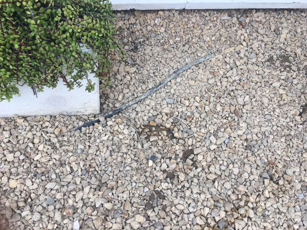 Quality emergency plumbing in San Marcos, CA by American Leak Detection - San Diego County