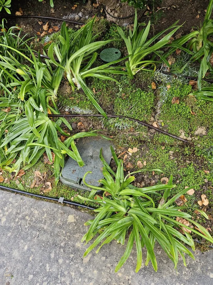 Slide of American Leak Detection - San Diego County