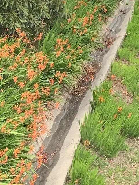 Slide of American Leak Detection - Santa Barbara and Ventura Counties