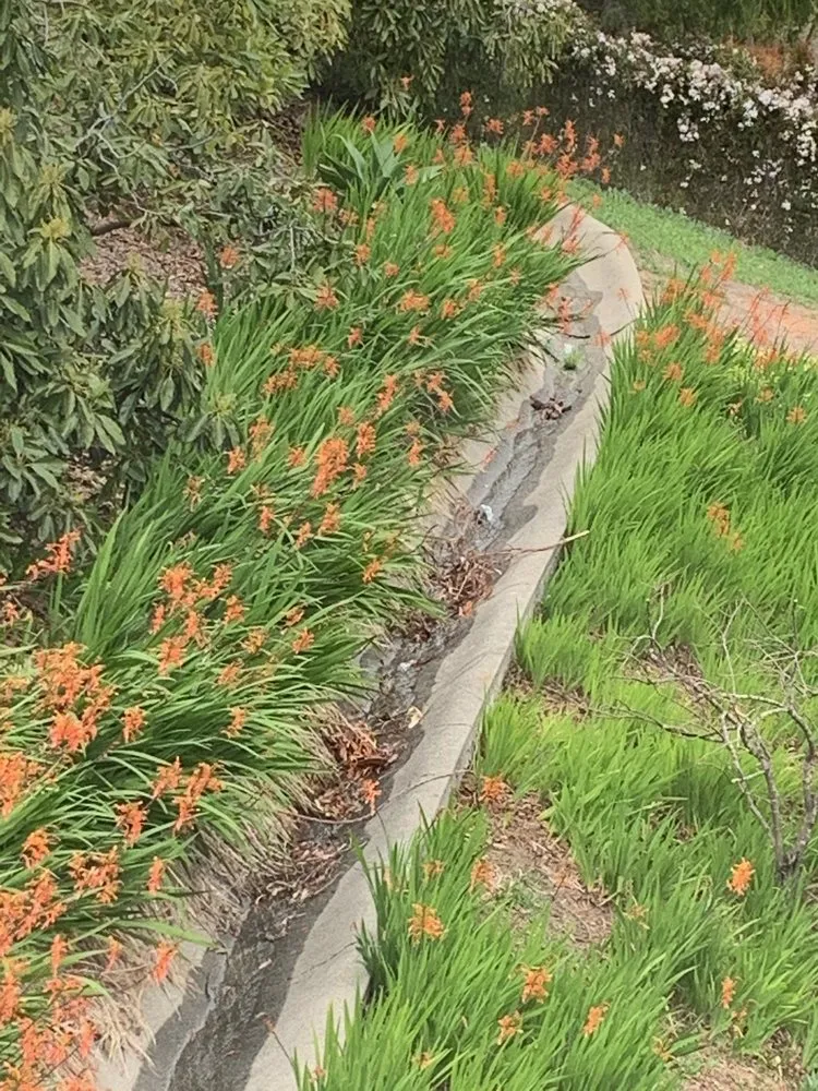 Slide of American Leak Detection - Santa Barbara and Ventura Counties