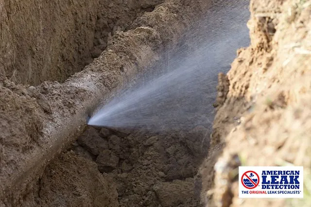 Emergency leak detection for homes in Spokane, WA by American Leak Detection - Spokane