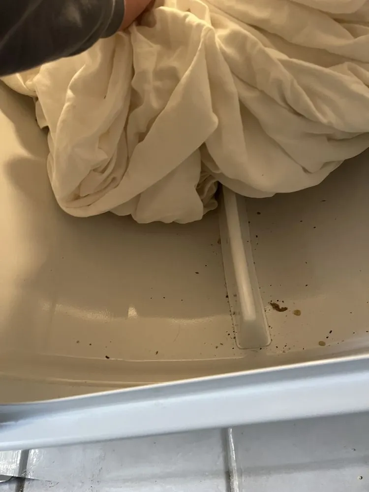 Slide of American Leak Detection