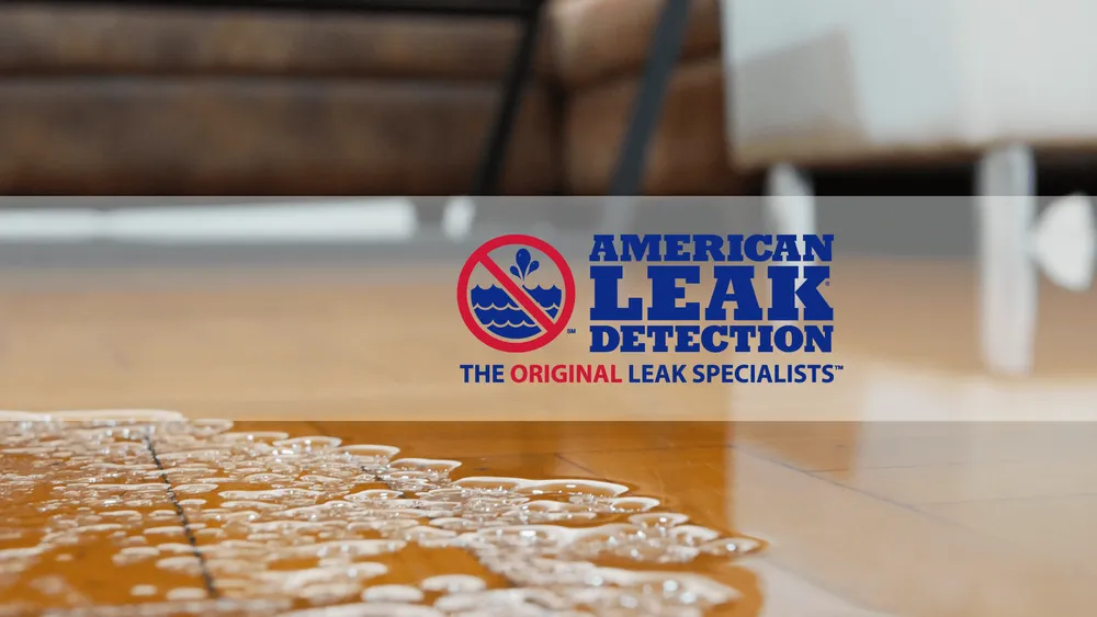 Slide of American Leak Detection