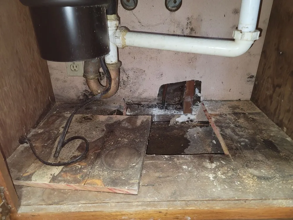 Slide of American Leak Detection