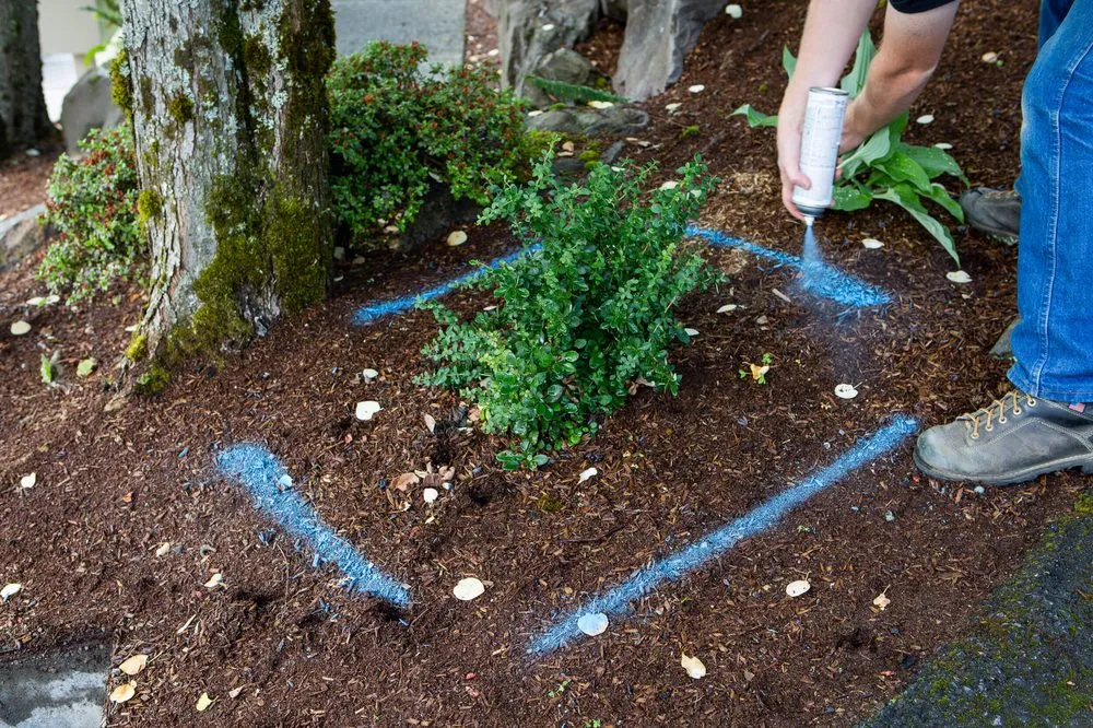 Affordable emergency plumbing experts serving Hayden, ID - American Leak Detection of Coeur d'Alene