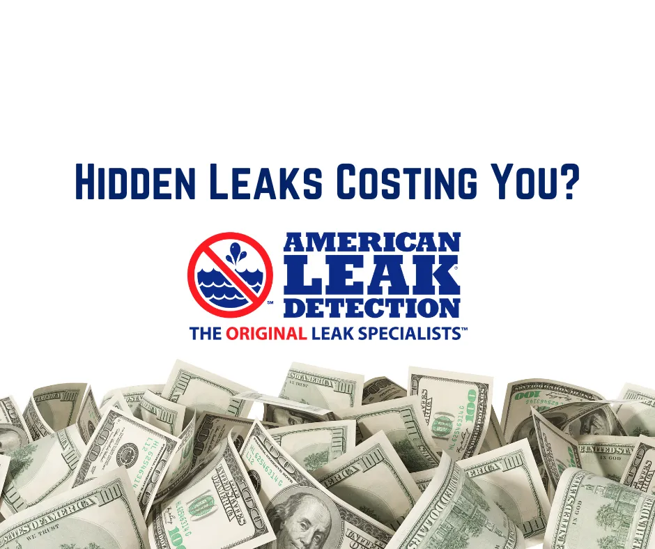 Quality water heater service experts serving Semmes, AL - American Leak Detection of Mobile-Biloxi