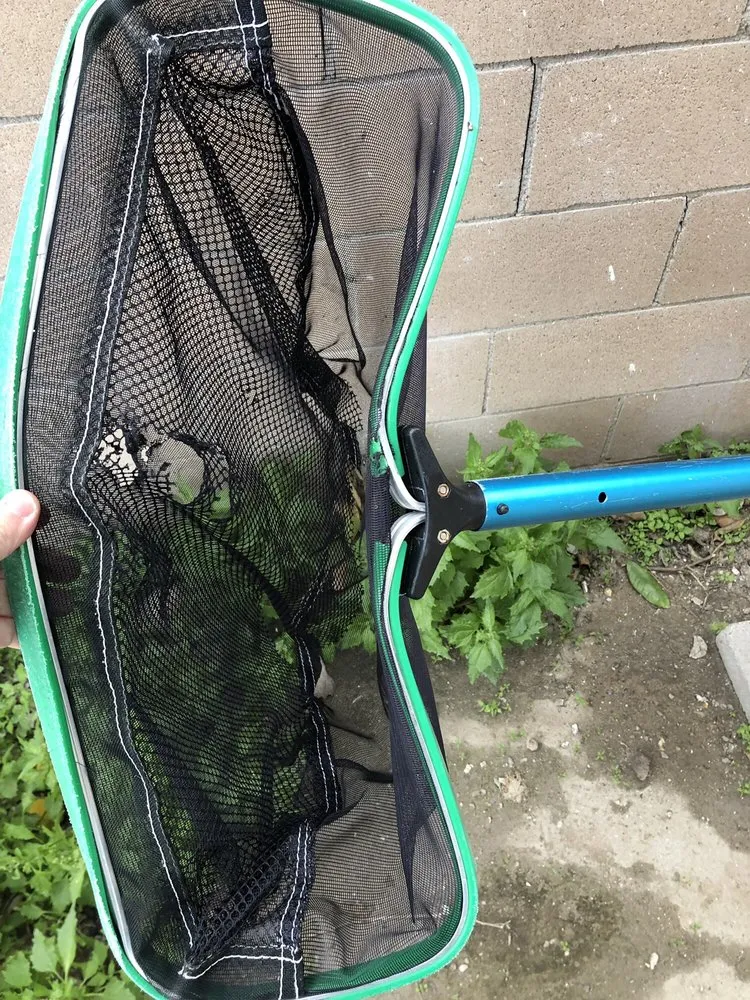 Slide of American Leak Detection of Orange County