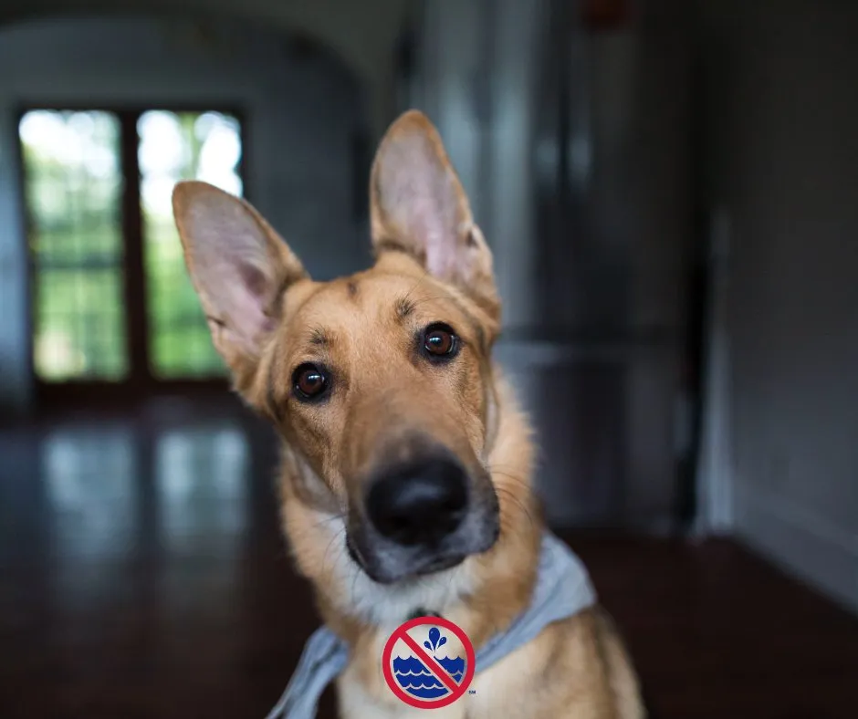 Slide of American Leak Detection Of Sacramento