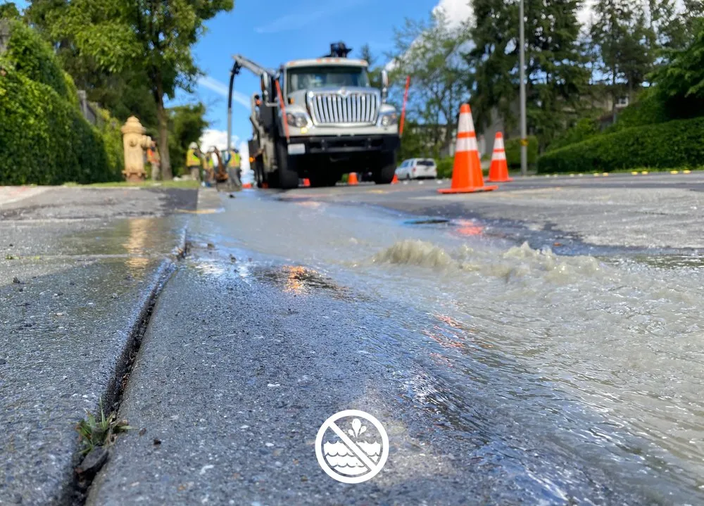 Trusted emergency plumbing service in Roseville, CA - American Leak Detection Of Sacramento