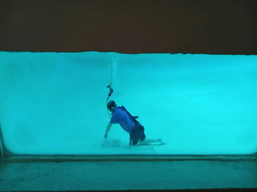 Top-rated drain cleaning experts serving Roseville, CA - American Leak Detection Of Sacramento